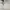 The North Face Minimalist Casual Pea coat Wanita cream photo 8