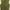 Japanese brand Vintage Vest Wanita green photo 1
