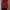 Vintage Midi Dress Wanita Red Black