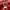 Casual Bomber jacket Pria red photo 4