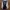 DogTown Casual Pea coat Pria white black photo 5