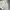 Everlast Skater Casual Hoody Pria white photo 4
