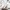 Everlast Skater Casual Hoody Pria white photo 8