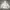 Everlast Skater Casual Hoody Pria white photo 1