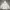 Everlast Skater Casual Hoody Pria white photo 7