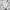 Everlast Skater Casual Hoody Pria white photo 3