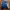 Casual Windbreaker Pria blue photo 5