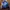 Casual Windbreaker Pria Blue