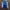 Alohas Casual Bomber jacket Pria white blue photo 5