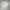 Feltics Skater Casual Hoody Pria gray photo 2