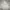 Feltics Skater Casual Hoody Pria gray photo 1