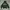 Oioi Skater Casual Hoody Pria green photo 1