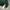 Oioi Skater Casual Hoody Pria green photo 3
