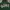 Oioi Skater Casual Hoody Pria green photo 4