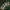 Oioi Skater Casual Hoody Pria green photo 6