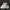 Nike Sportswear Sneakers Pria white photo 1