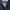Burberry Vintage Casual Harrington jacket Pria navy photo 6