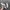 Adidas Y2K Casual Sneakers Pria white black photo 1