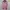 Minimalist Casual Jersey Wanita pink photo 1