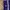 Adidas Streetwear Sportswear Tracksuit Pria purple photo 3