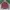 Mountain Hardwear Sportswear Casual Casual shirt Pria red gray photo 1