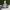 VANS Skater Casual Sneakers Pria white black photo 4