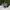 VANS Skater Casual Sneakers Pria navy black photo 1