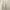 Polo Ralph Lauren Casual Harrington jacket Pria tan cream photo 6