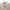 Polo Ralph Lauren Casual Harrington jacket Pria tan cream photo 1