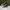 Converse Casual Sneakers Pria white black photo 3