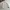 Uniqlo Sportswear Casual Leather Jacket Pria White Cream