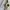 Uniqlo Sportswear Casual Leather jacket Pria white cream photo 6