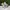Converse Casual Sneakers Pria white yellow photo 1