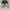 Nike Air Jordan Casual Sneakers Pria black cream photo 2