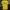 Gildan Casual T-shirt Pria yellow photo 4