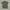 Dior Luxury Polo shirt Pria multicolor photo 6