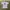 Made in USA Vintage Streetwear T-shirt Pria white photo 1