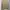 Luxury Formal shirt Pria green yellow photo 3