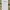 Luxury Formal shirt Pria green yellow photo 5