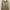 Luxury Formal shirt Pria green yellow photo 1