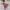 The North Face Minimalist Casual Windbreaker Kids Pink