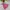 The North Face Minimalist Casual Windbreaker Kids pink photo 5