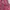 The North Face Minimalist Casual Windbreaker Kids pink photo 4