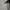 WHO.A.U Casual Sweater Pria white photo 4