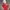 Streetwear Casual Bomber jacket Kids white red photo 1