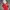 Streetwear Casual Bomber Jacket Kids White Red
