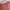 Casual Casual dress Wanita burgundy red photo 4