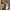 Luxury Futurist Going out dress Wanita orange cream photo 6