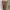 Luxury Futurist Going out dress Wanita orange cream photo 3