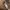 Luxury Futurist Going out dress Wanita orange cream photo 4